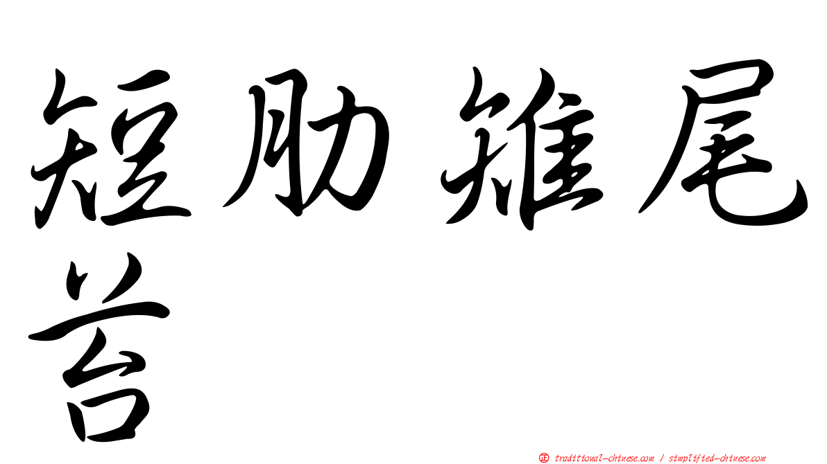 短肋雉尾苔