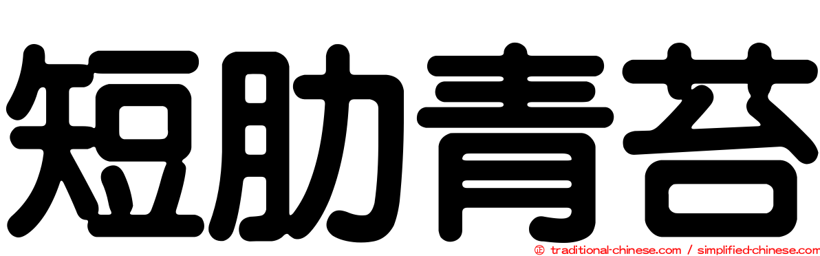 短肋青苔