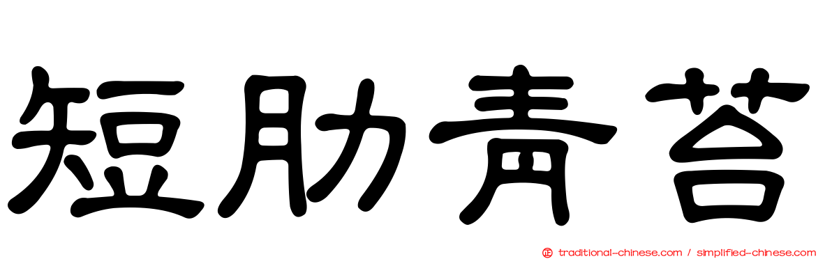 短肋青苔
