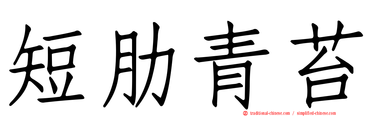 短肋青苔