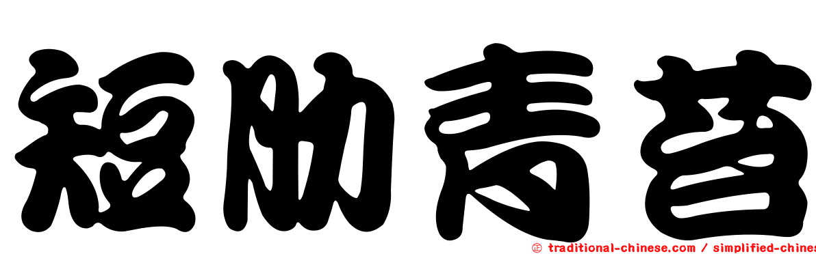 短肋青苔