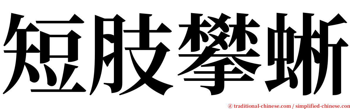 短肢攀蜥 serif font