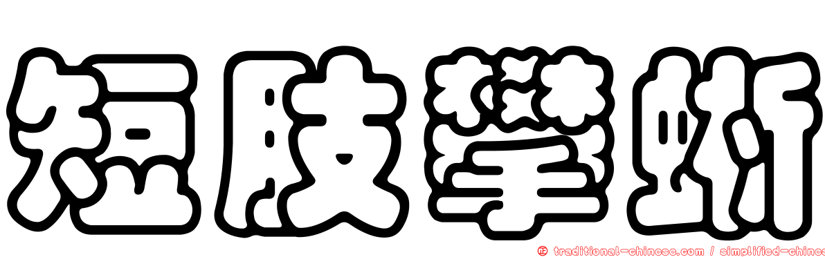 短肢攀蜥