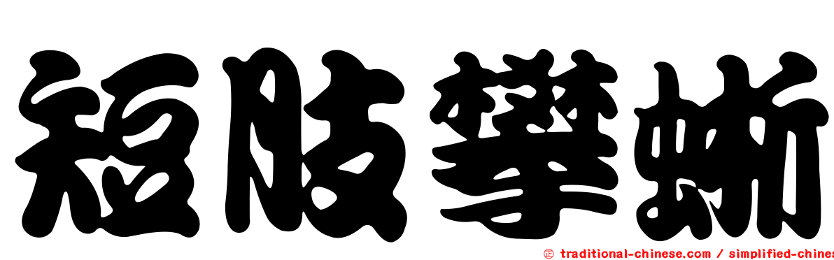 短肢攀蜥