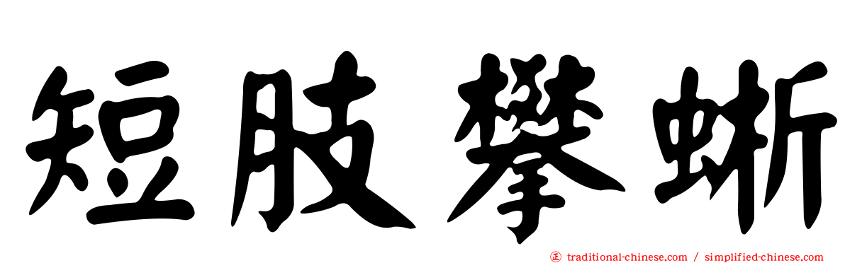 短肢攀蜥
