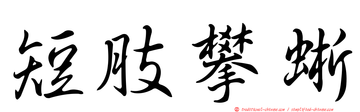 短肢攀蜥