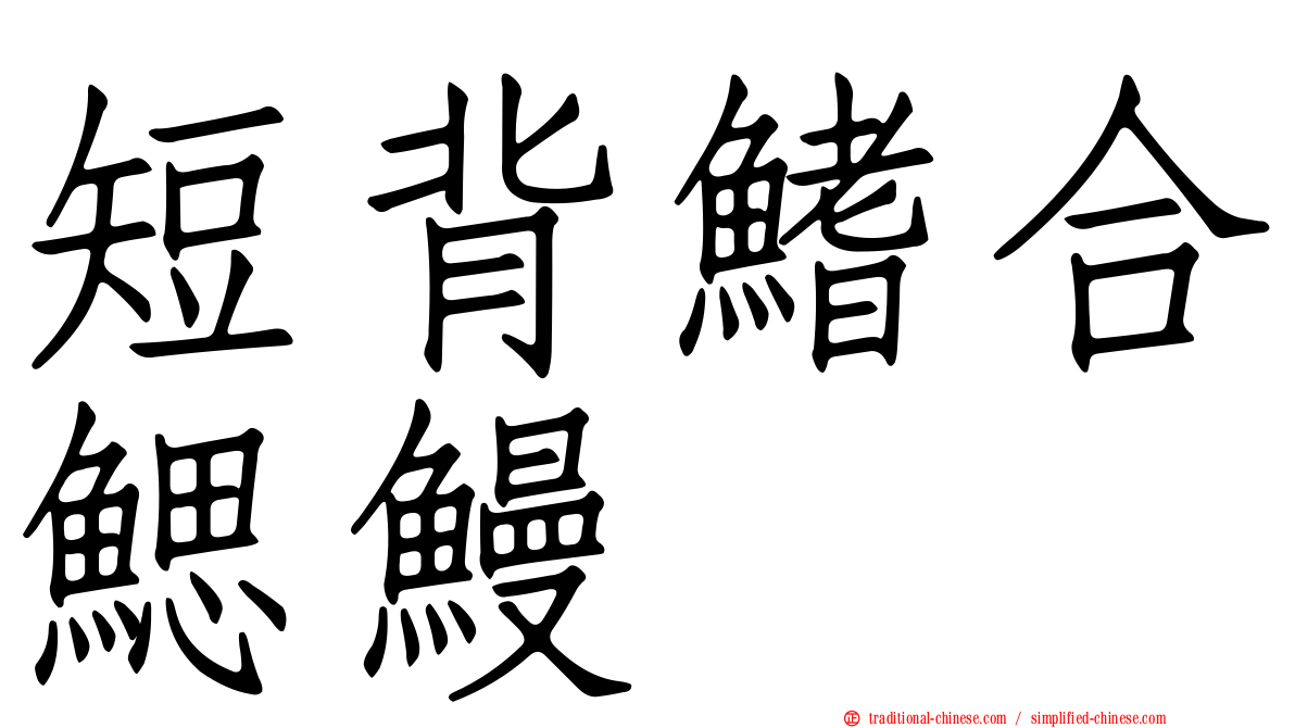 短背鰭合鰓鰻