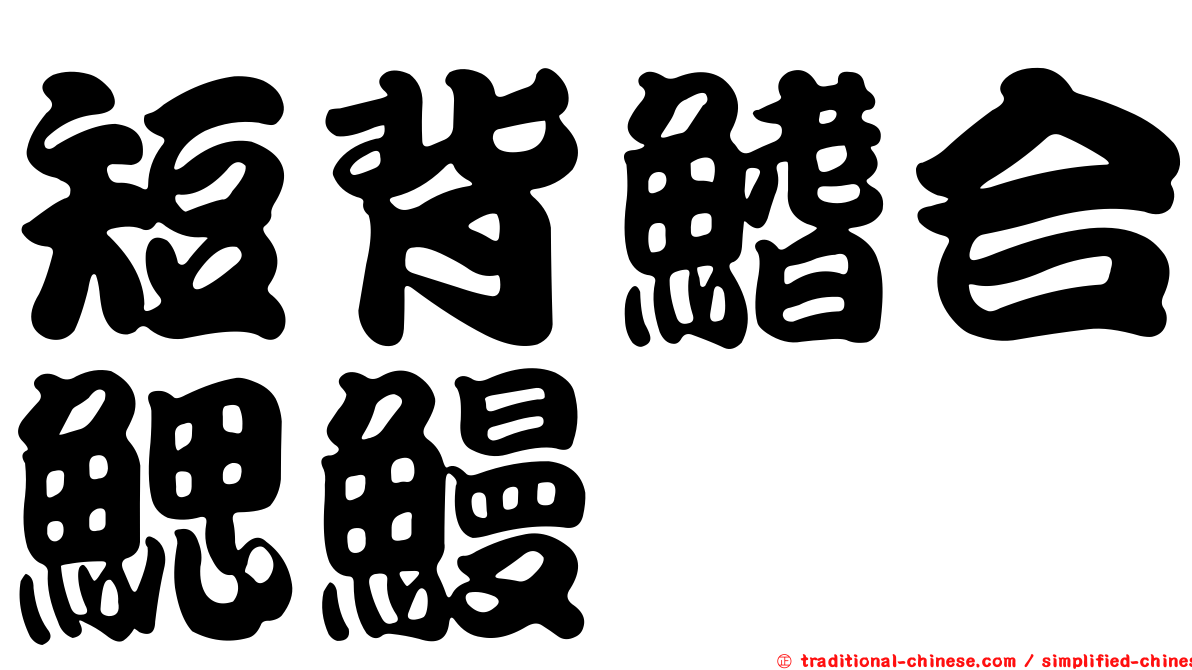 短背鰭合鰓鰻