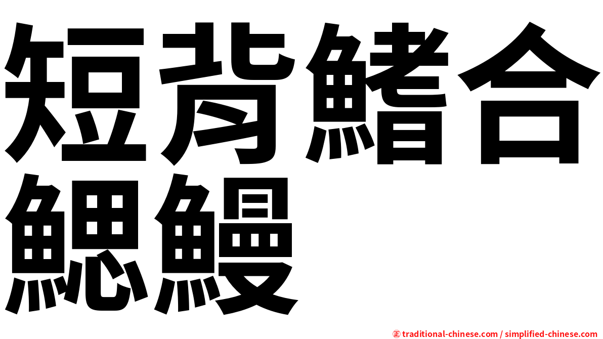 短背鰭合鰓鰻