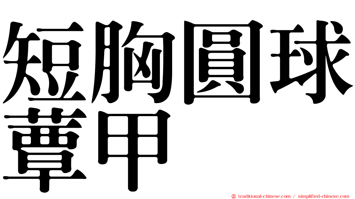 短胸圓球蕈甲