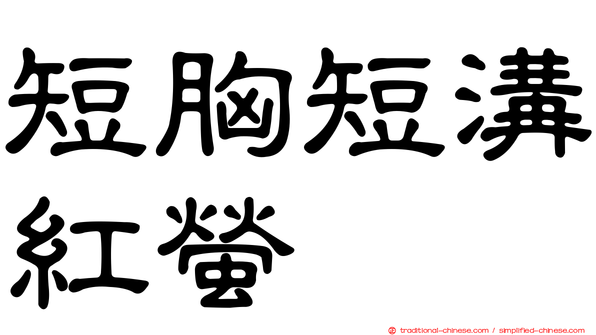 短胸短溝紅螢
