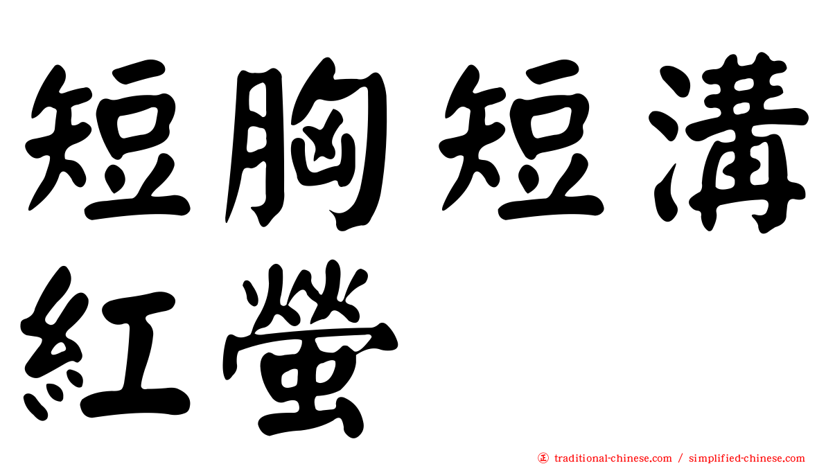 短胸短溝紅螢