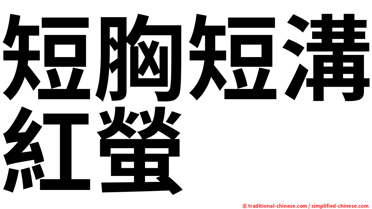 短胸短溝紅螢