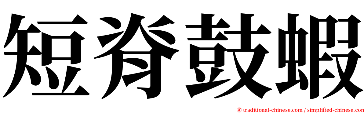 短脊鼓蝦 serif font