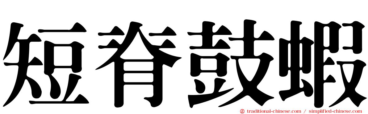 短脊鼓蝦