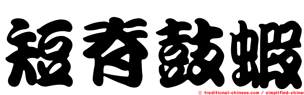 短脊鼓蝦