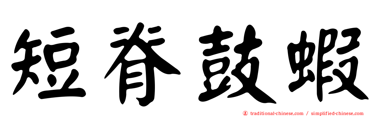 短脊鼓蝦