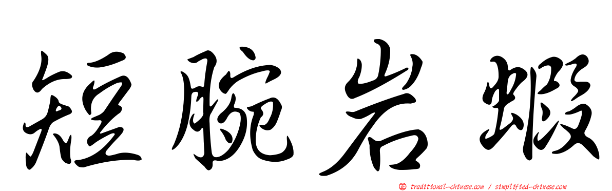 短腕岩蝦