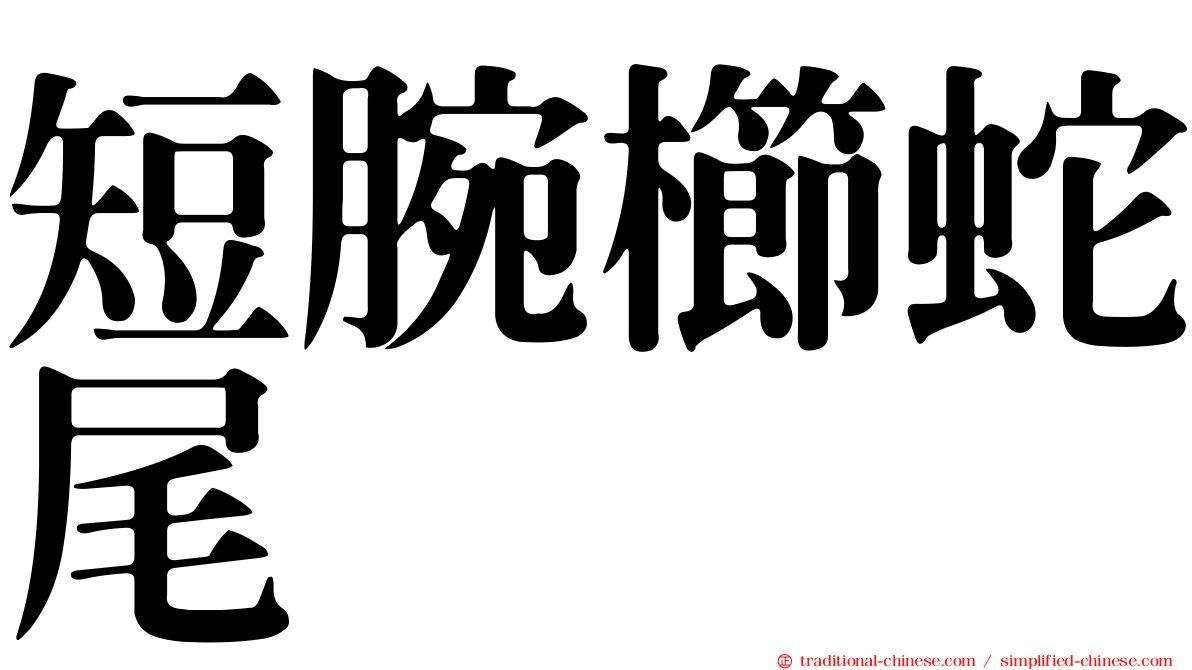 短腕櫛蛇尾