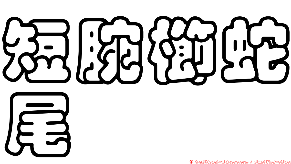 短腕櫛蛇尾