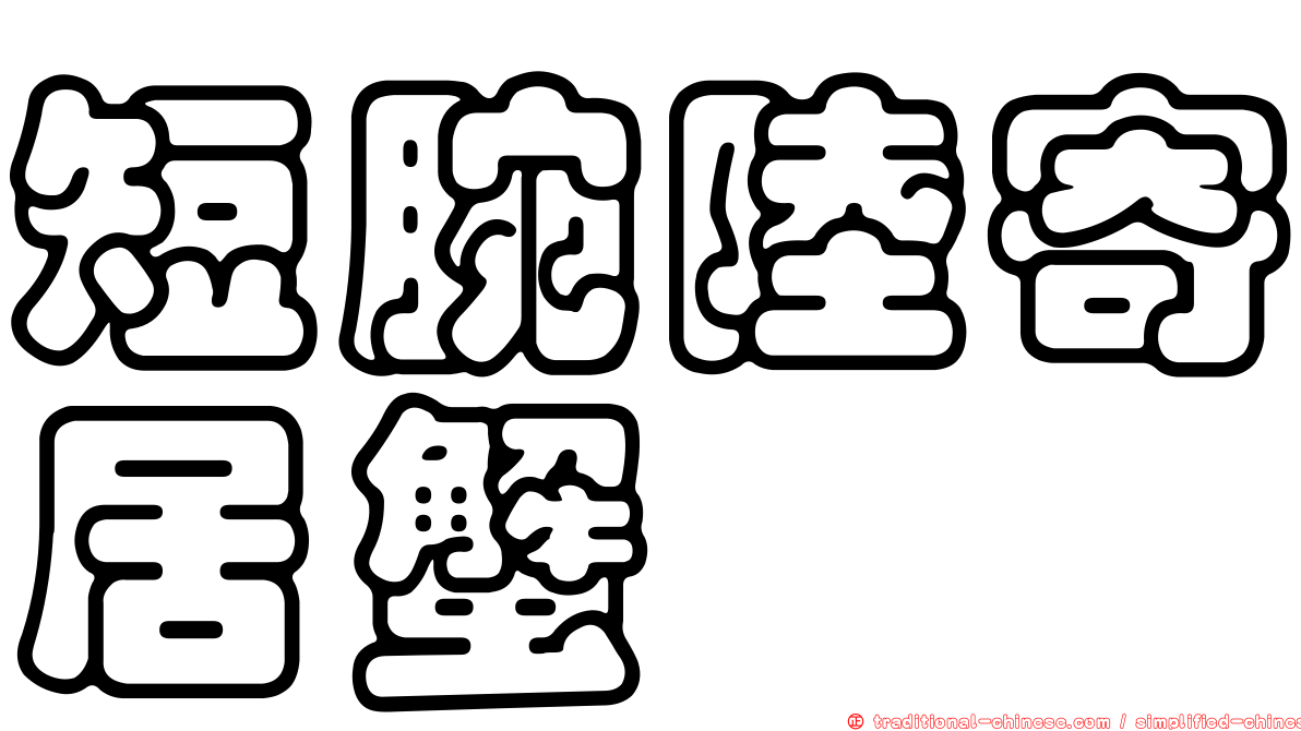 短腕陸寄居蟹
