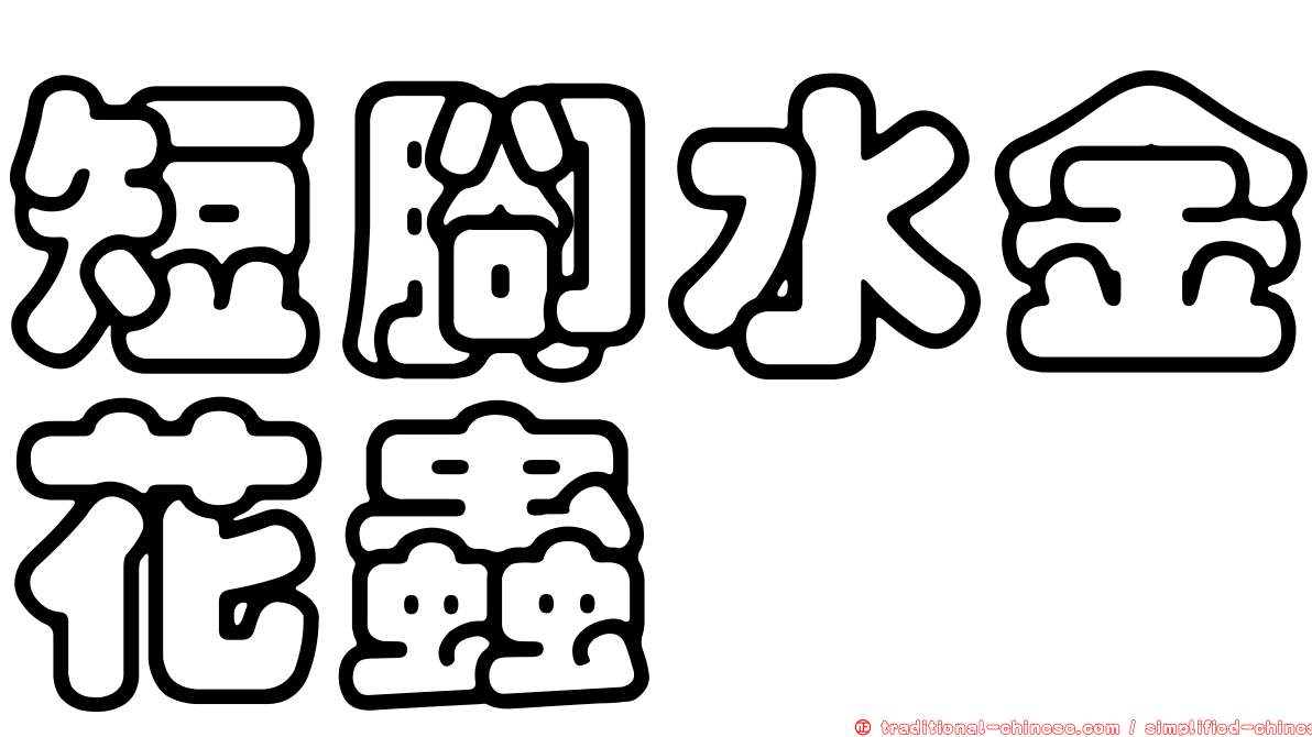 短腳水金花蟲