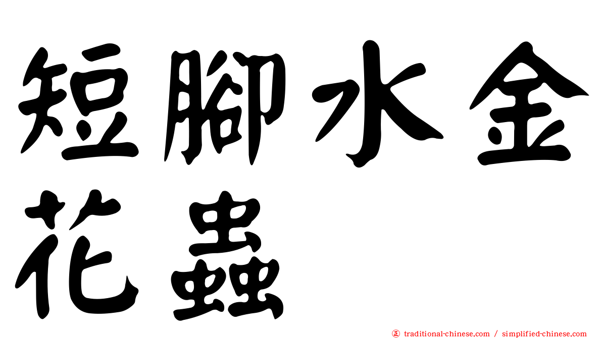 短腳水金花蟲