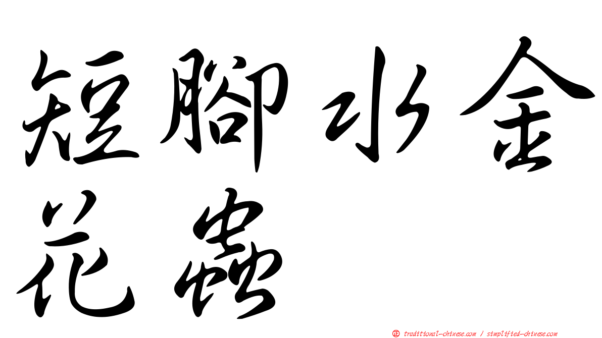 短腳水金花蟲