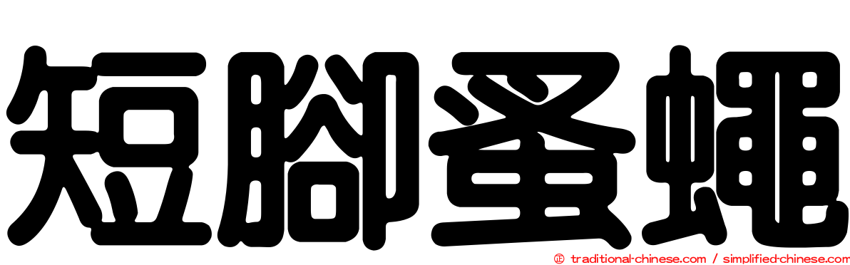 短腳蚤蠅