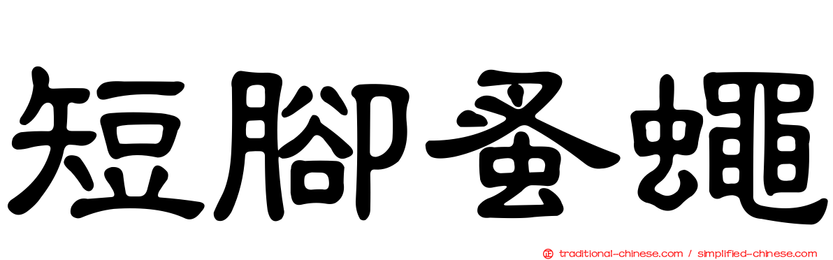短腳蚤蠅