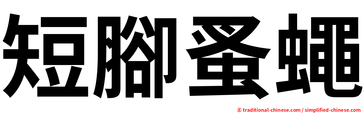 短腳蚤蠅