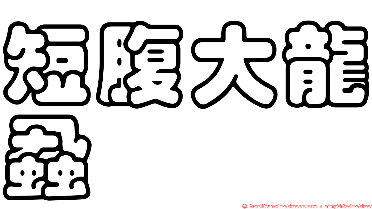 短腹大龍蝨
