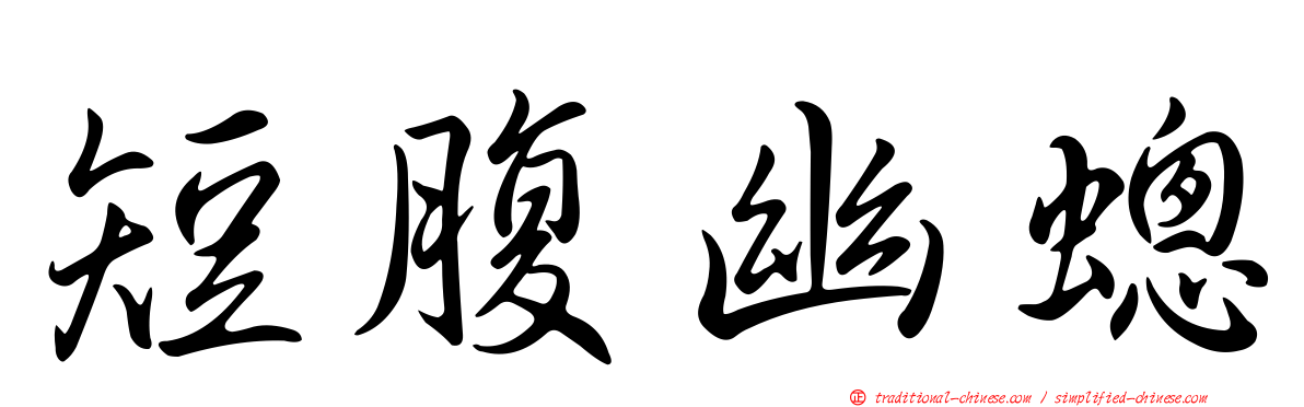 短腹幽蟌