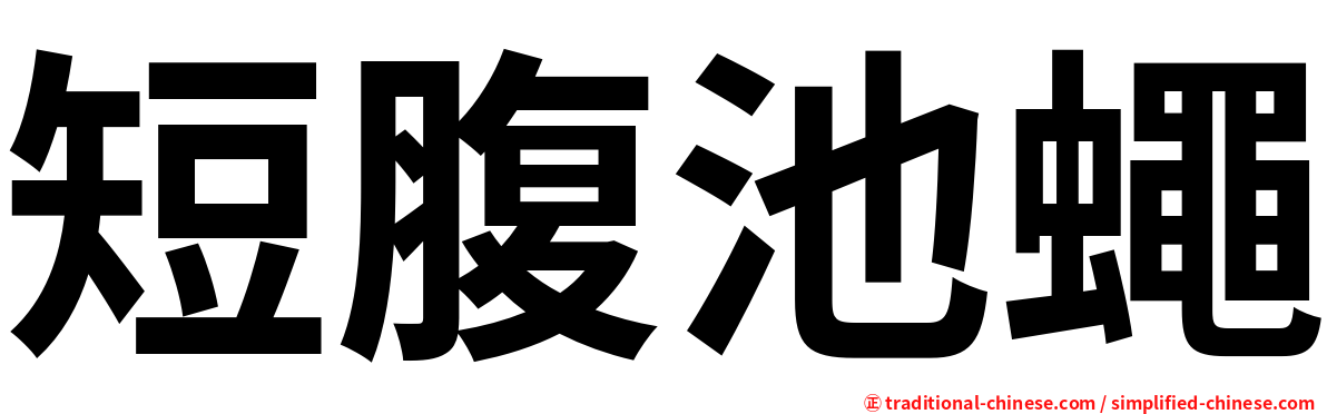 短腹池蠅