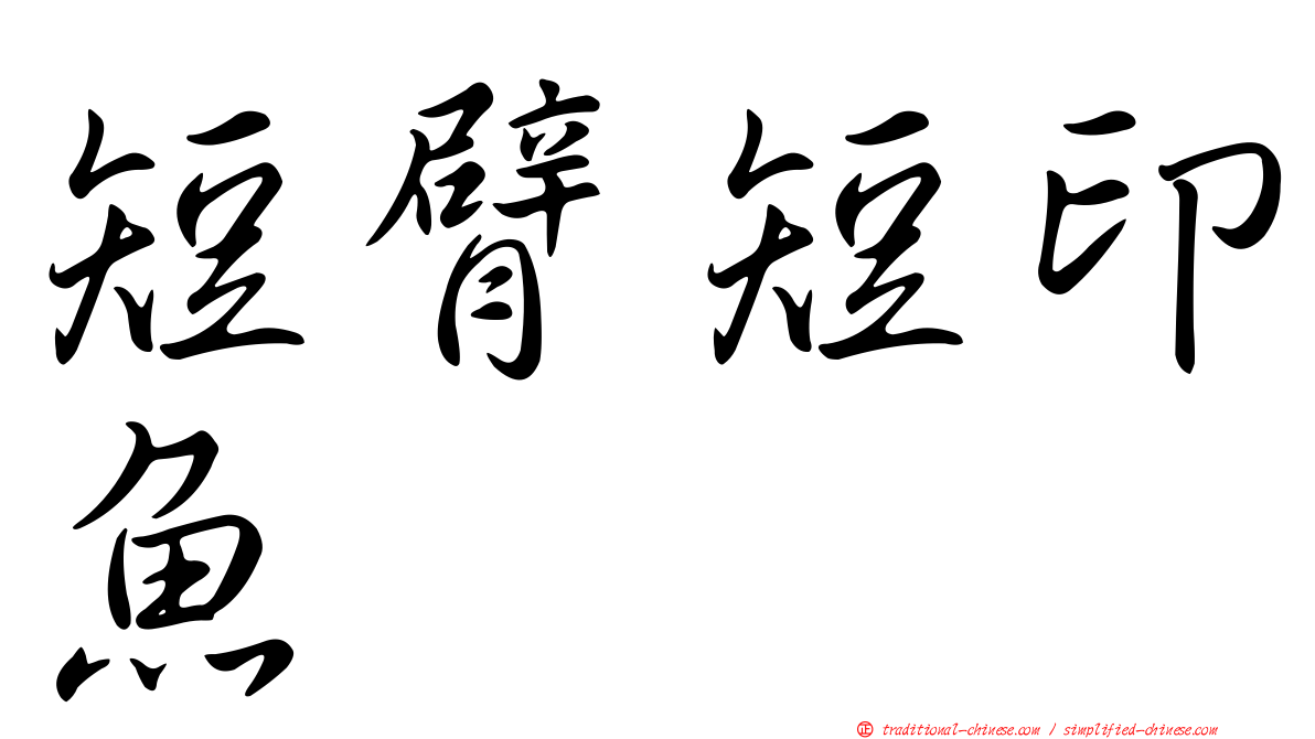 短臂短印魚