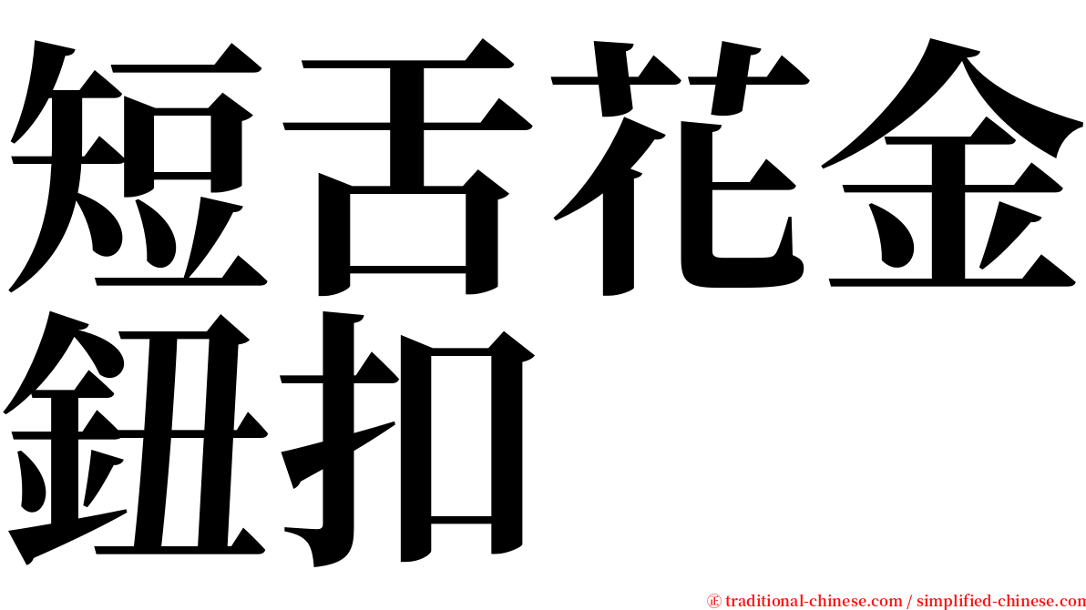 短舌花金鈕扣 serif font