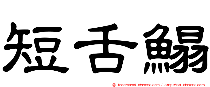 短舌鰨