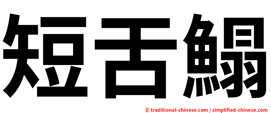短舌鰨