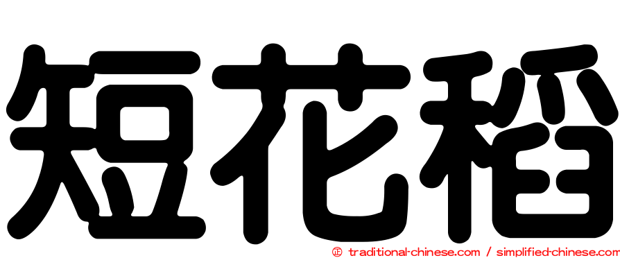 短花稻
