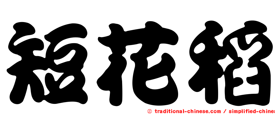短花稻