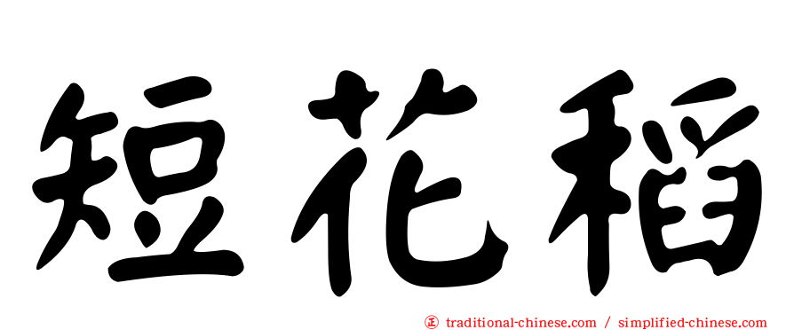 短花稻