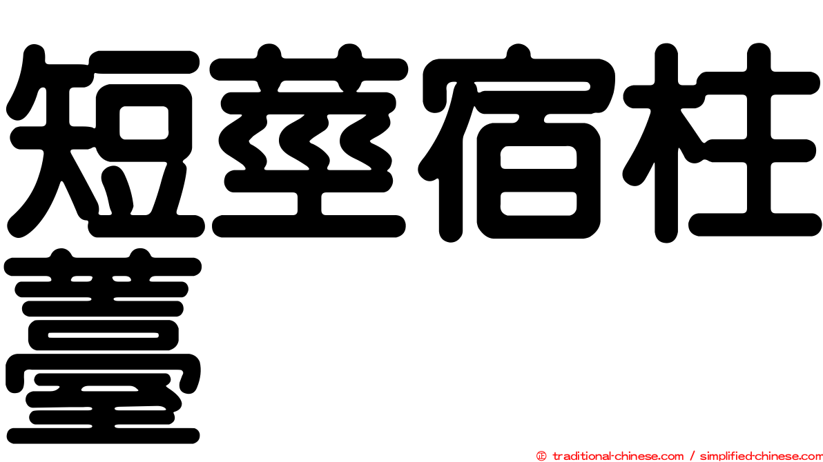 短莖宿柱薹
