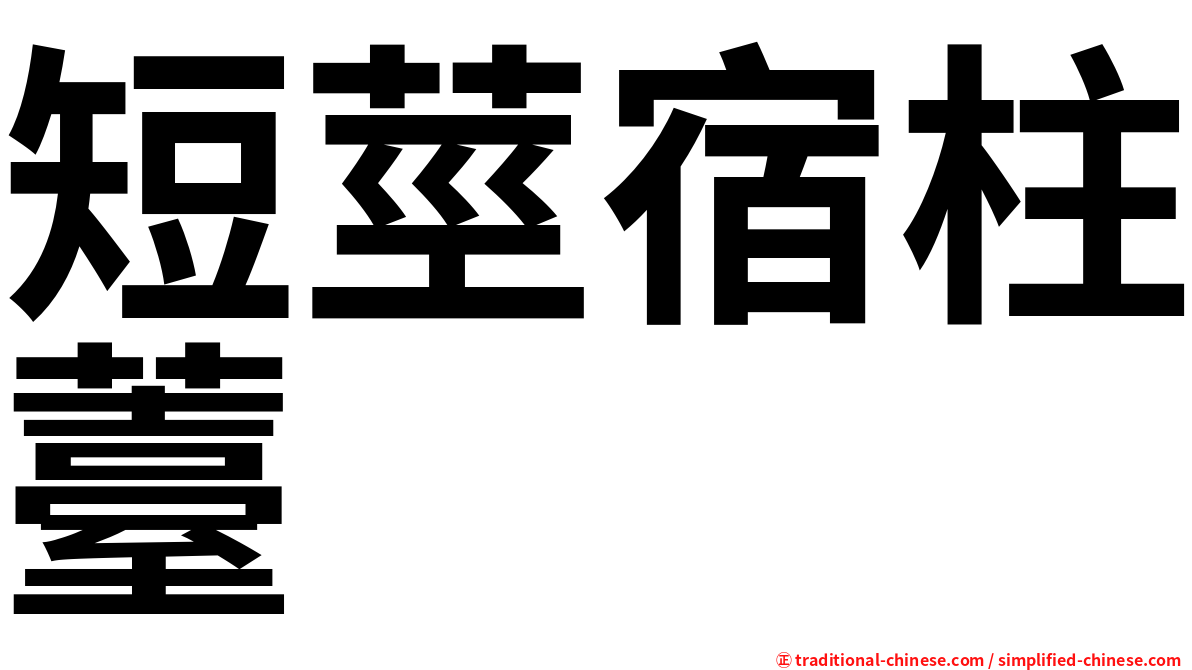 短莖宿柱薹