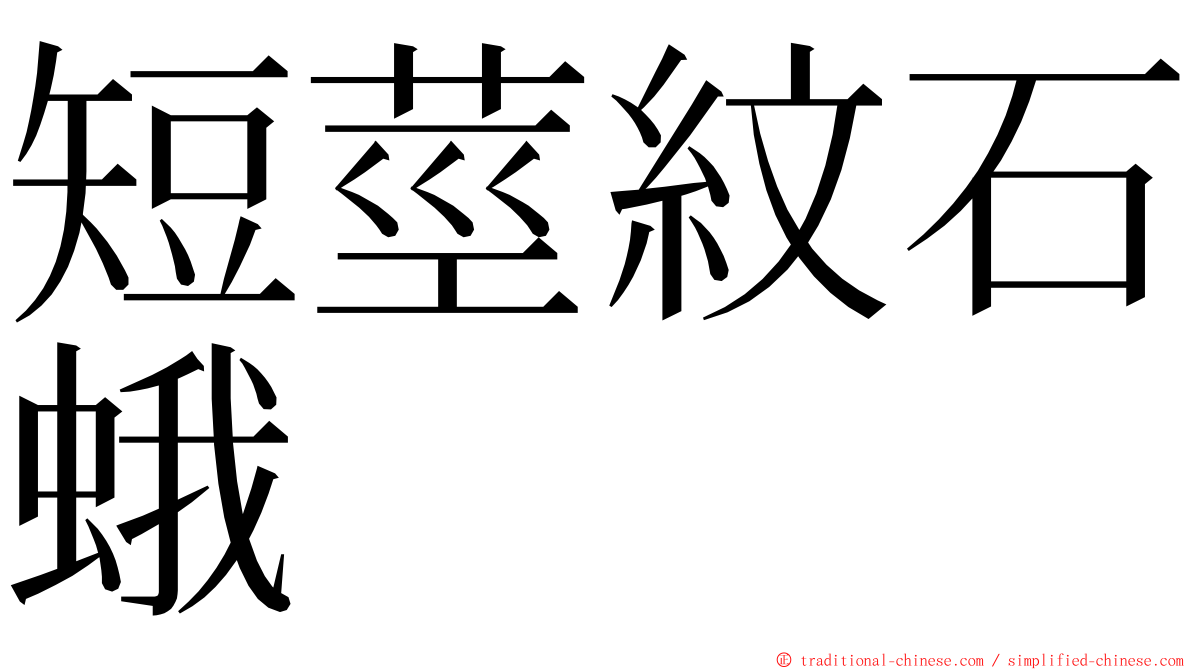 短莖紋石蛾 ming font
