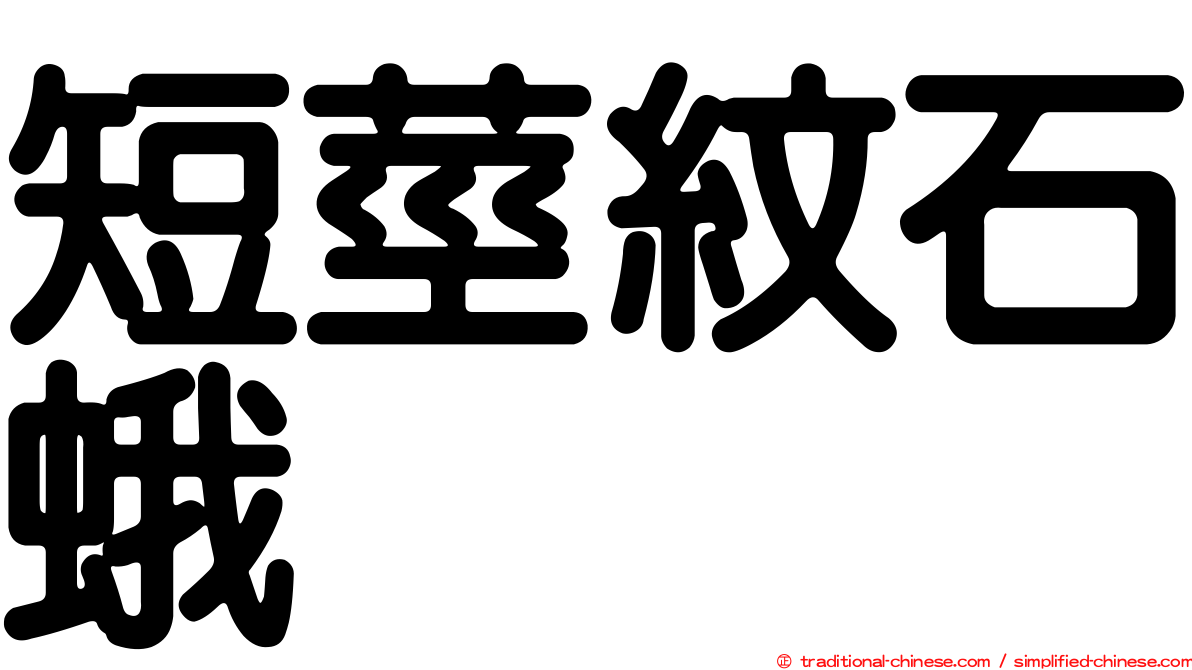 短莖紋石蛾