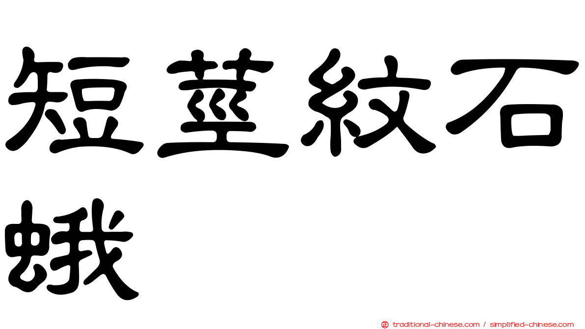 短莖紋石蛾