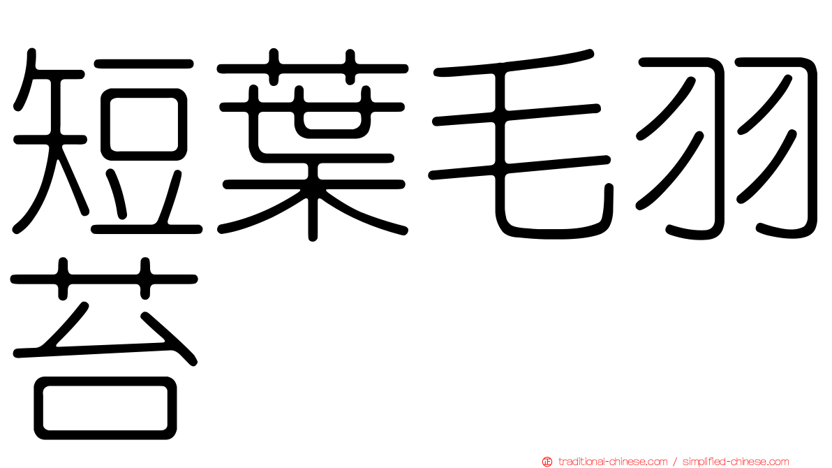 短葉毛羽苔