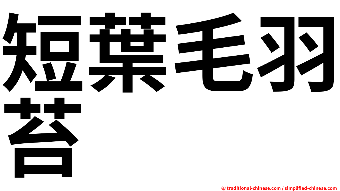 短葉毛羽苔