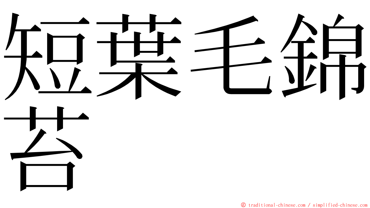 短葉毛錦苔 ming font