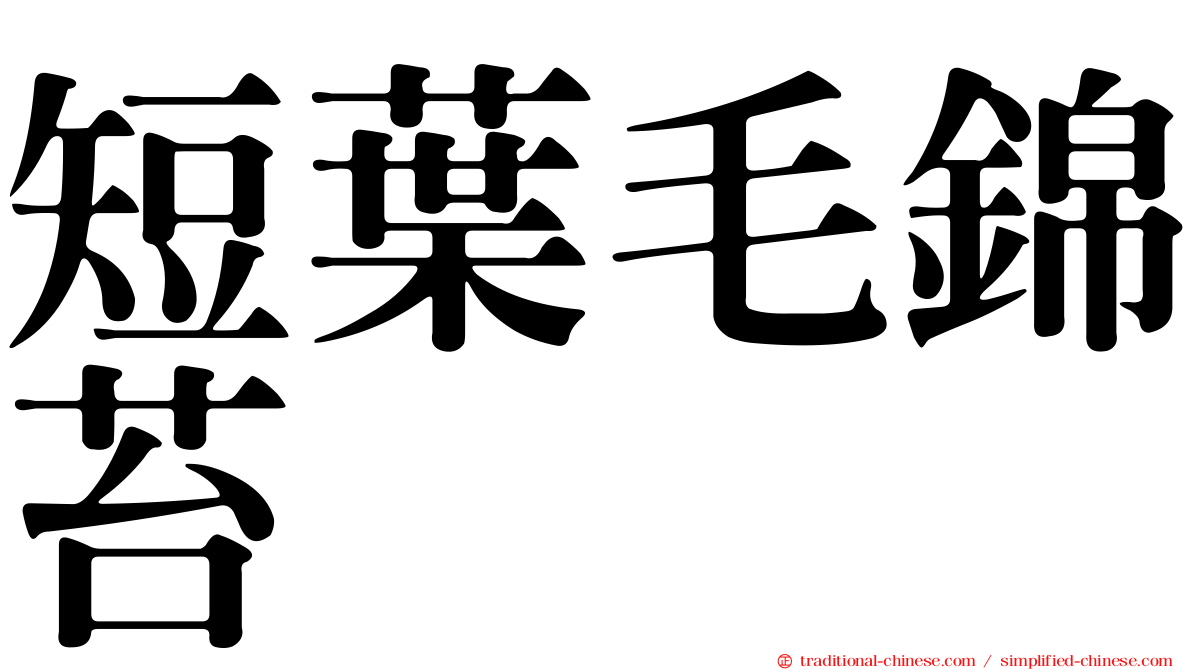 短葉毛錦苔